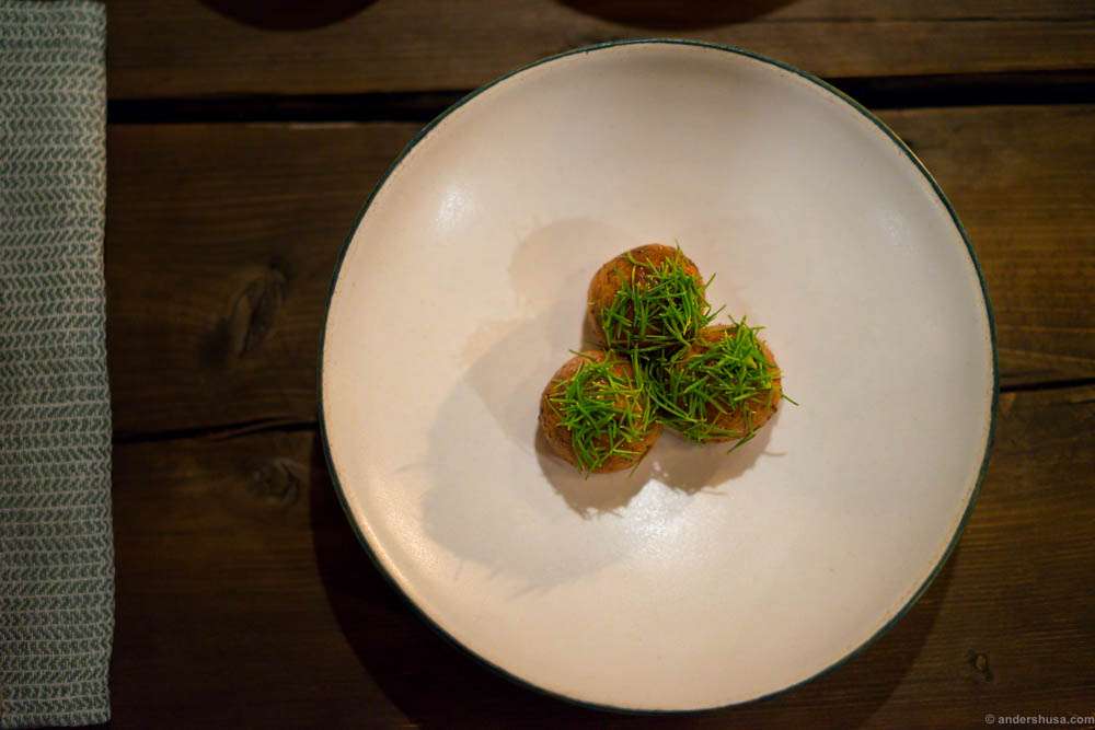 Braised ox tails with fresh coriander seeds and spruce shoots. Such a concentrated umami flavor! Really satisfying.