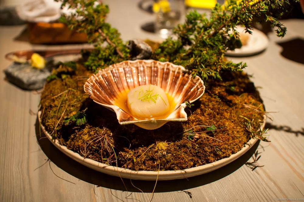 Scallops with a broth of pork cheeks and pine sprouts on top. Tasty, but mostly because of the fresh scallop.