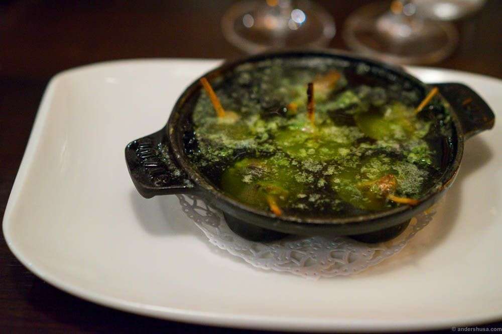 Garlic gratinated snails with mushrooms. A classic French presentation!