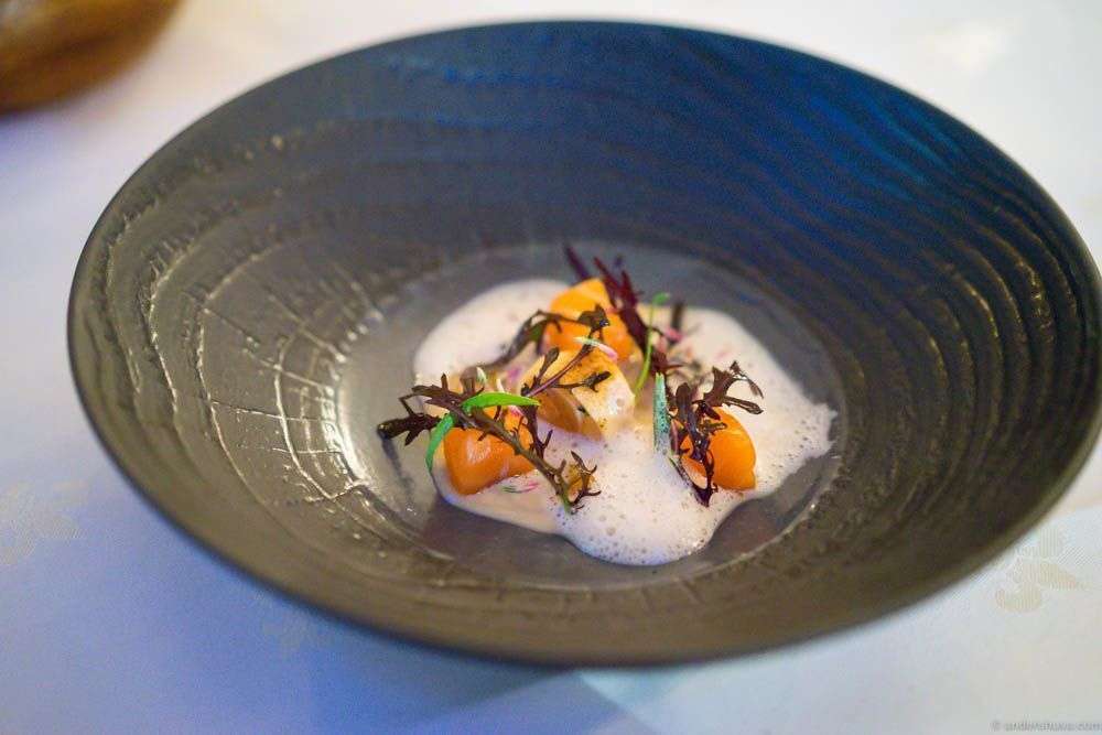 Salmon, mussel sauce, "løyrom" and herbs