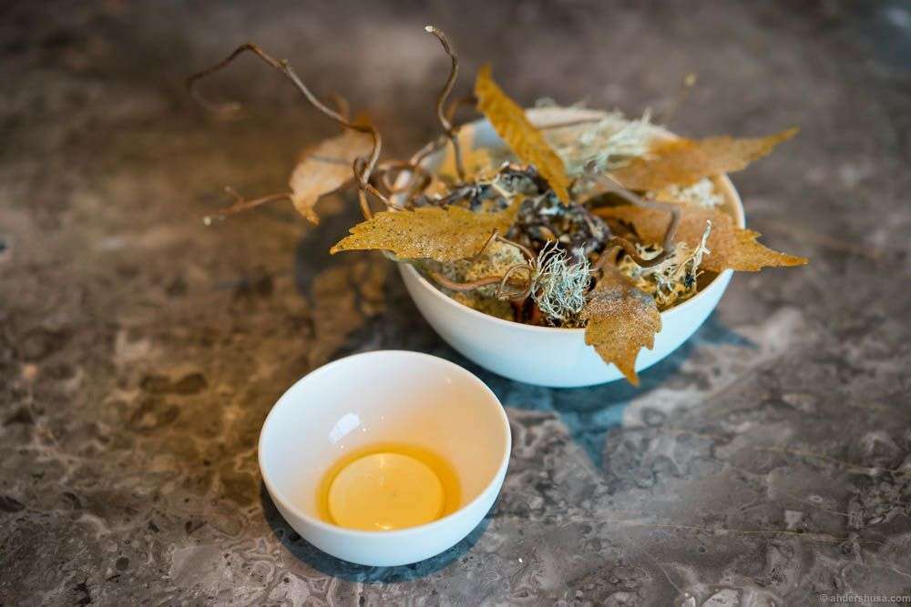top-20-favorite-dishes-streetfood-fine-dining-noma-geranium-denmark-norway-scandinavia-restaurant-review-food-foodie-eat-eating-dine-dining-best-tips-guide-travel-6-2015