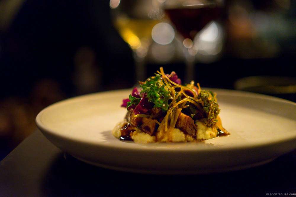 Duck, cabbage from southern Jutland and hoisin