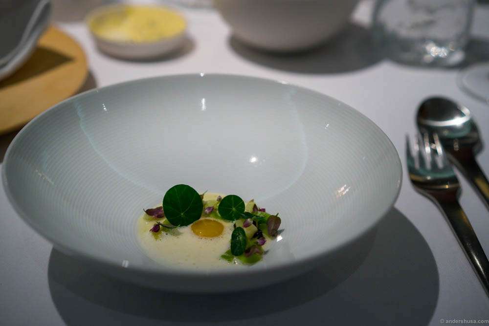 Leeks, quail egg yolk, melted pork fat, salted ramson & melted Vesterhavs cheese. Nasturtium and local herbs