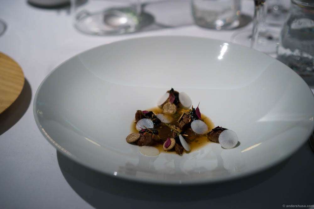 Smoked leg of wild duck, pickled green elderberries, celeriac & truffle from Gotland