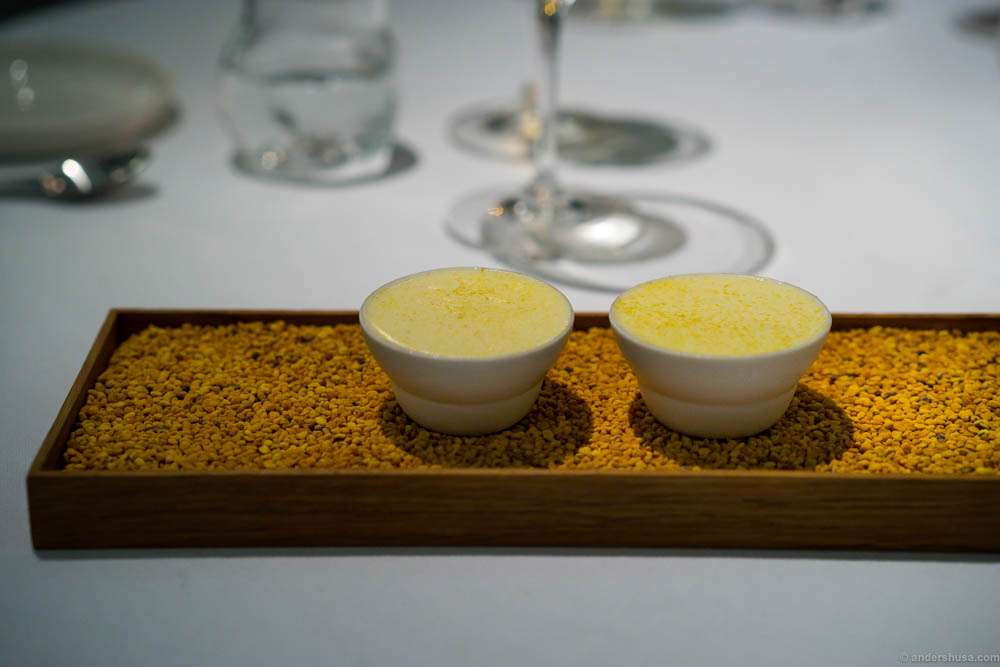 Ice cream from beeswax, pollen and honey with cloudberries