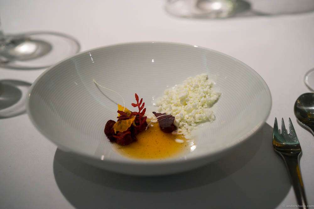 Dried apples with elderberries & beetroots, cider apple & sheep's yogurt