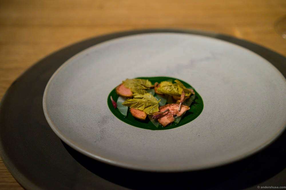 Blackcurrant leaves, wood sorrel and kohlrabi