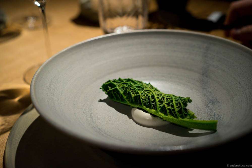 Grilled Danish oysters, kale and fermented pea juice