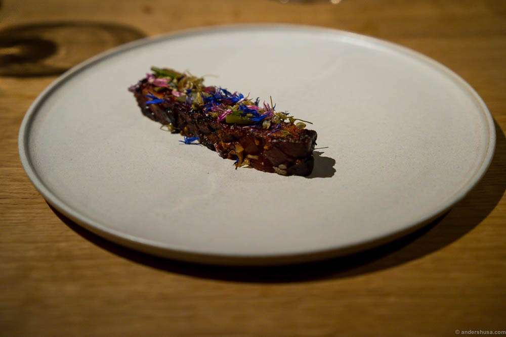 Fire roasted pork belly, black garlic, blackcurrant and salted flower buds