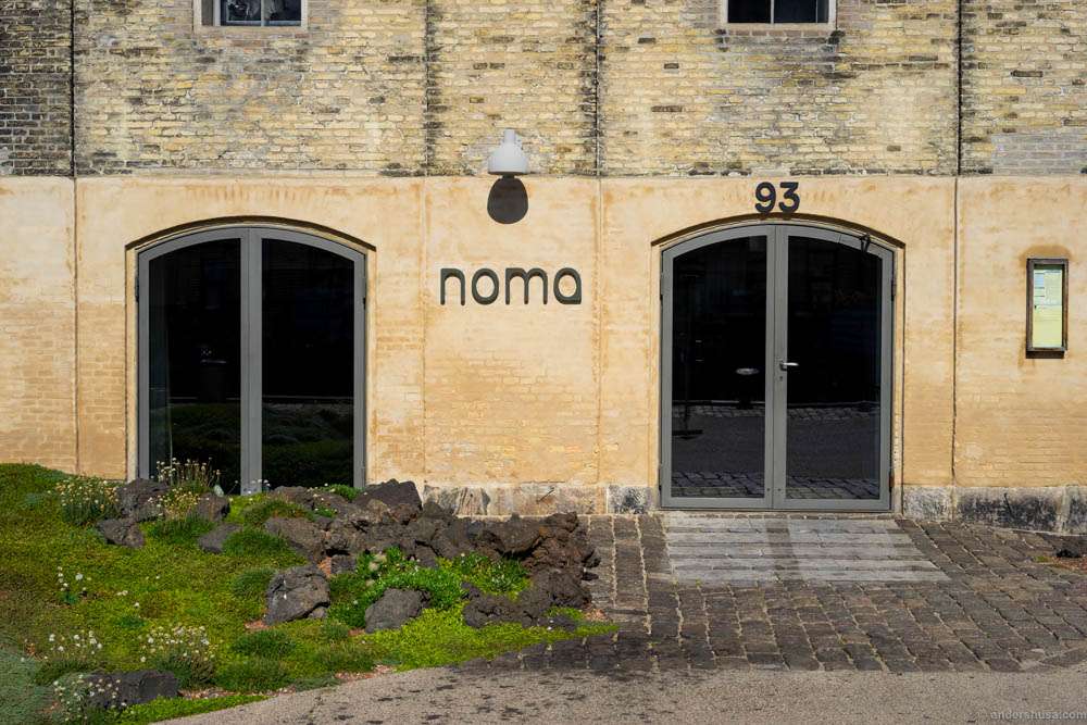 Noma in the sun