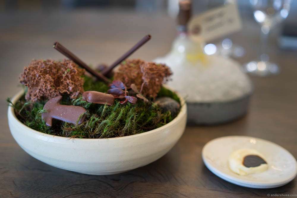 Chocolate covered forest flavors