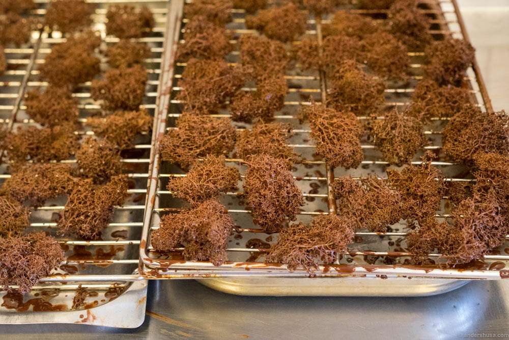 Chocolate coated reindeer moss