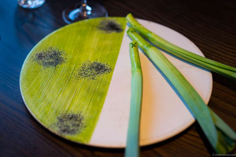Biodynamic leek with parsley and hay