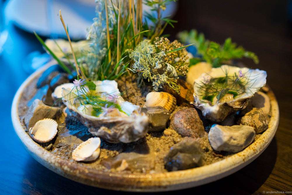 Oysters with green strawberries and dill