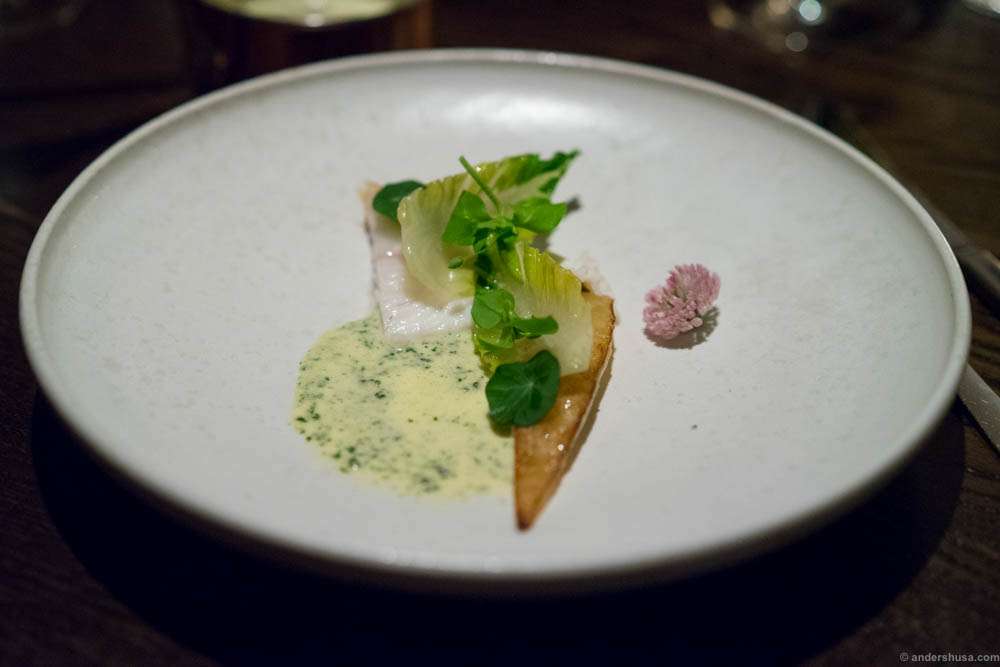 Whole roasted turbot with roots of salad & weeds