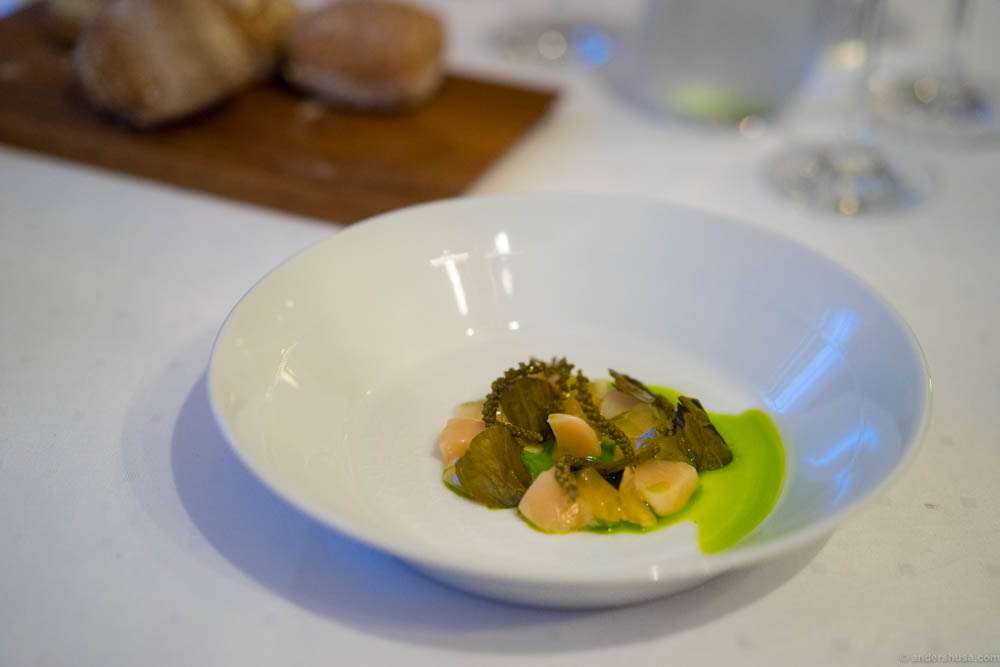 Raw scallops with "søl" gel, pickled sea plantain and fried fermented crambe cabbage