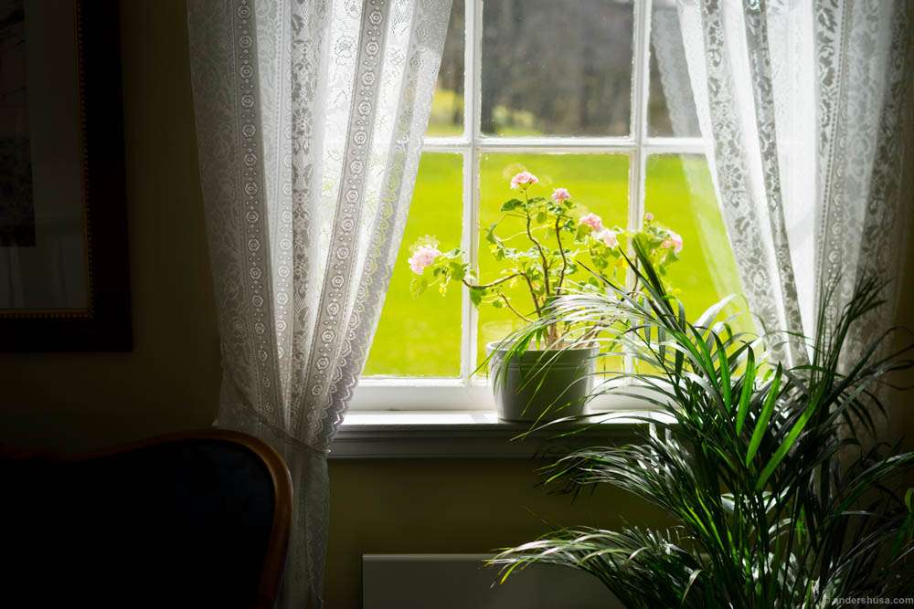 Rays of sun light up the beautiful living room of Boen Gård