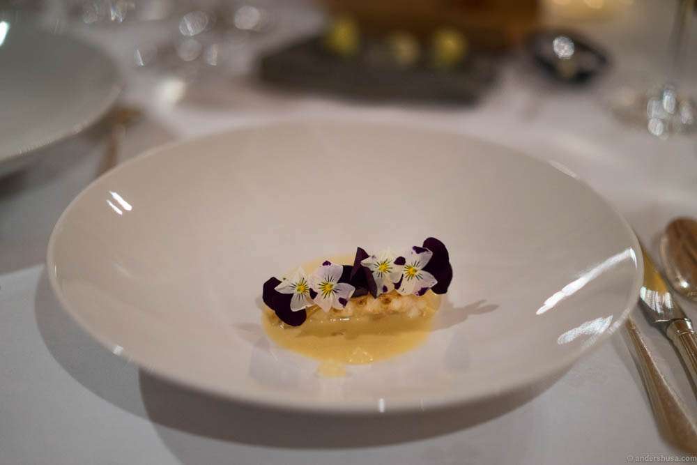 engo-gard-ulrik-jepsen-nordic-french-fine-dining-michelin ...