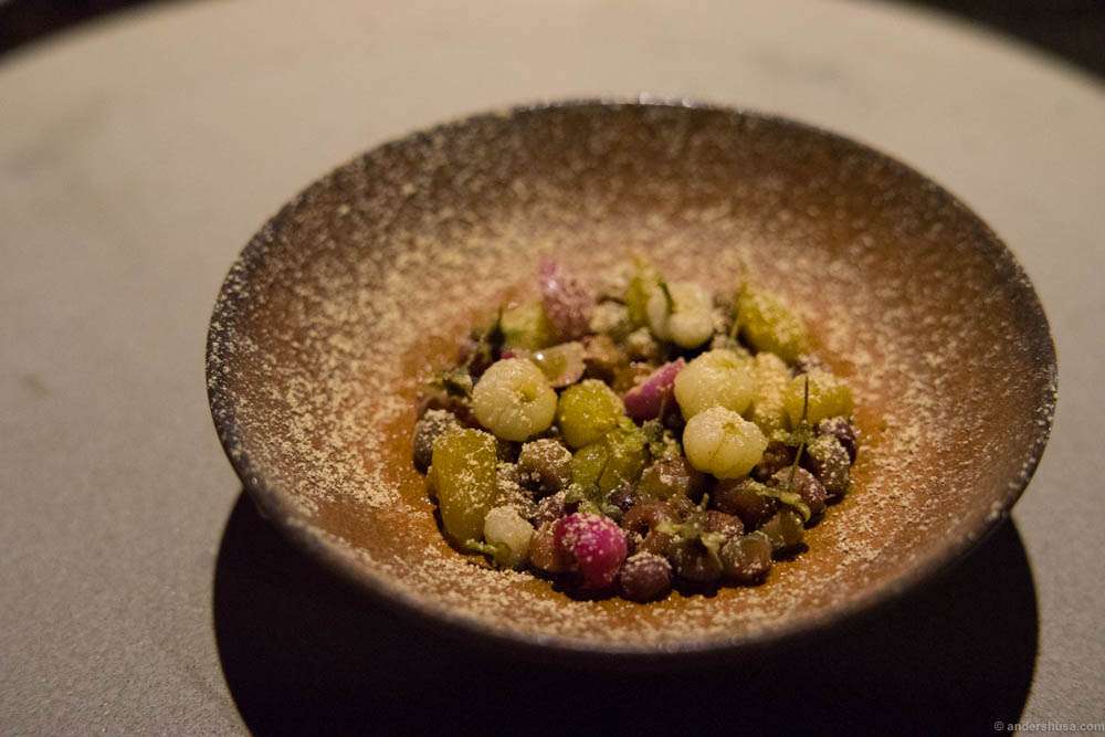 Wild seasonal berries marinated in seaweed and flavored with Kakadu plum powder