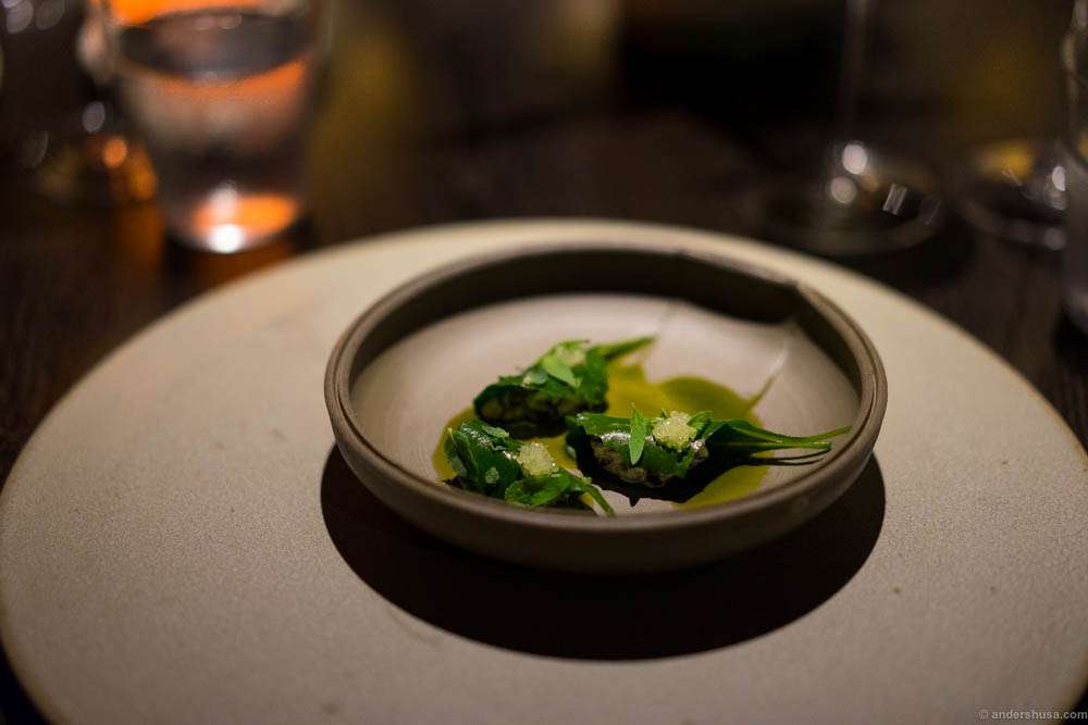 Porridge of golden and desert oak wattleseed with saltbush. Noma had managed to make the wattleseed into a porridge by soaking it for days and pressure cooking it for hours. My Australian table companions were astounded