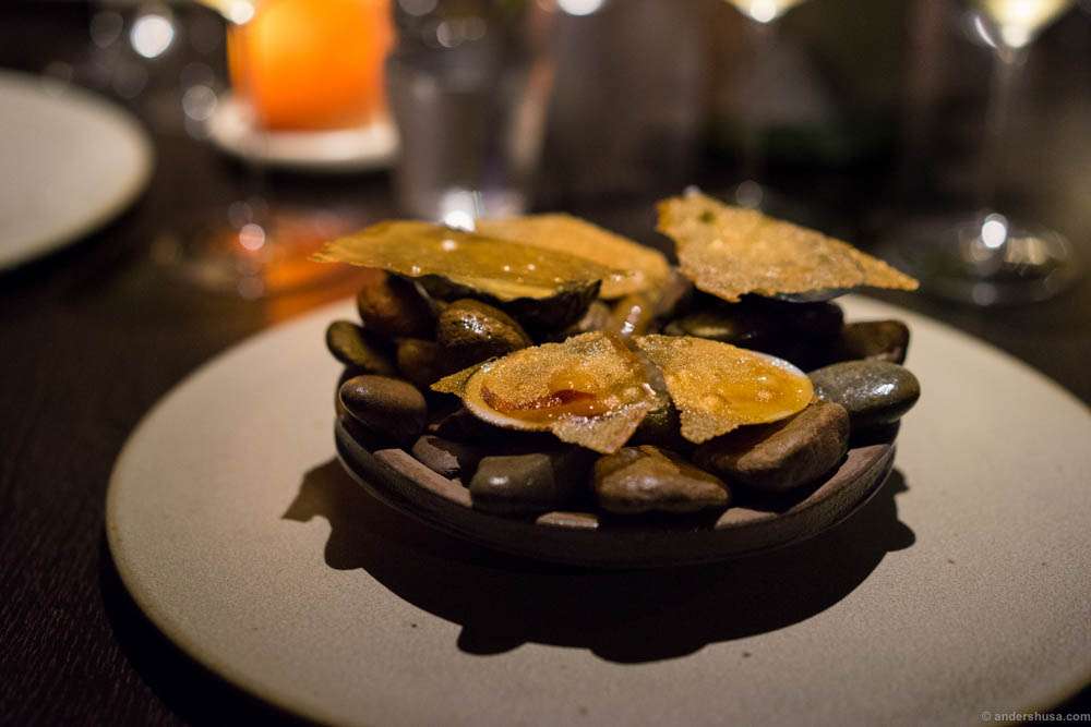 Different sea shells with a crust of chicken fat brushed with crocodile fat