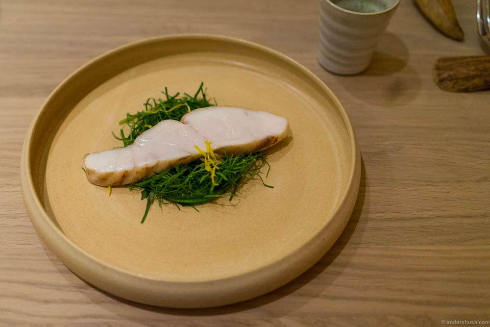 That is one piece of perfectly cooked fish