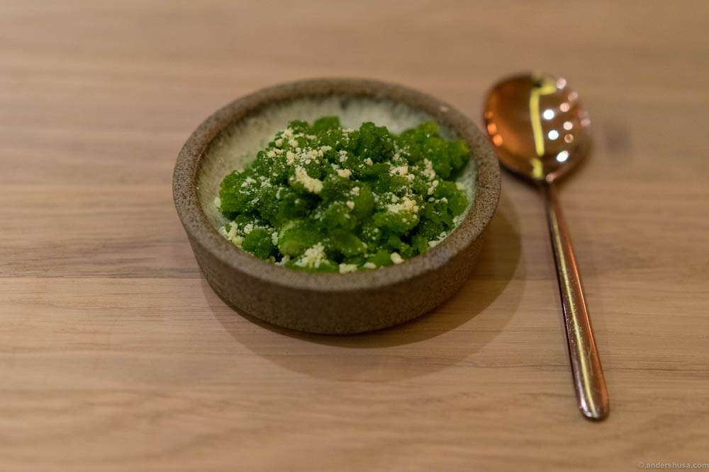 Parsley and sorrel sorbet