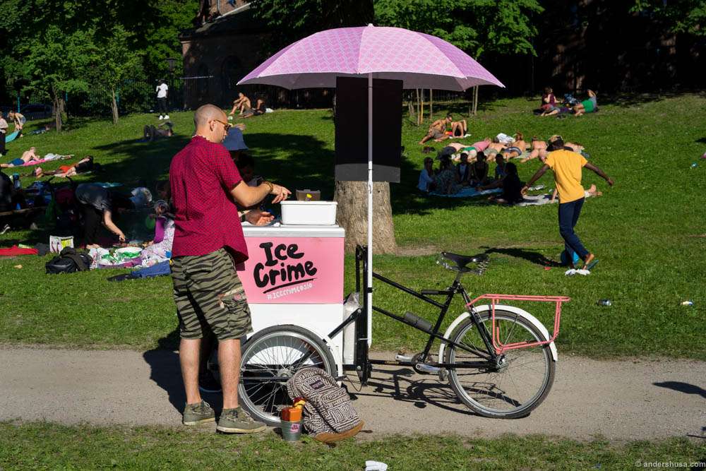 Ice Crime in Sofienbergparken