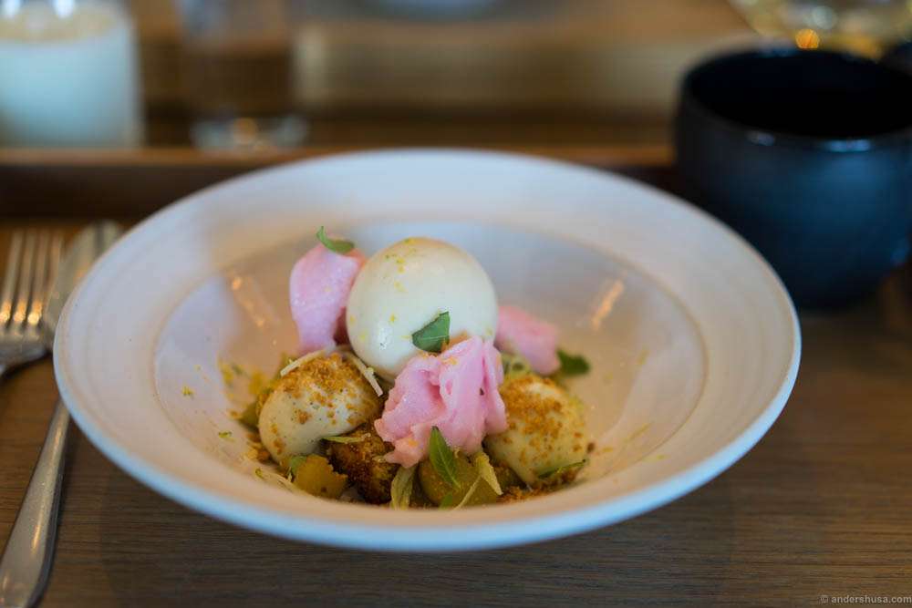 Victoria rhubarb, vanilla, spelt ice cream & verbena
