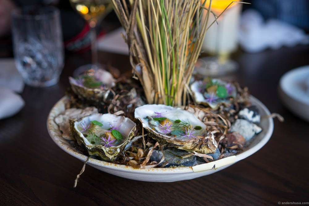Studio snack 2: Oysters and green strawberries