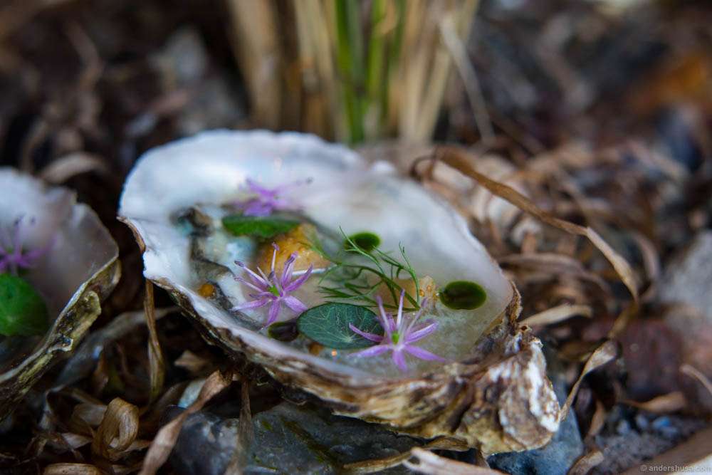 One of the most beautiful oyster presentations I have ever seen