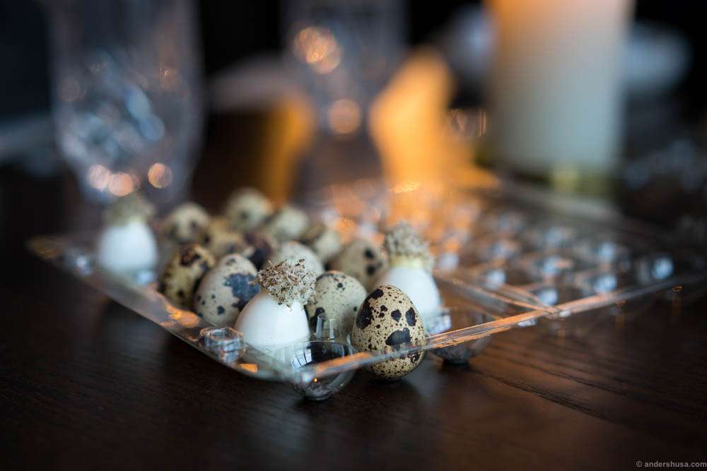 Studio snack 3: Quail egg and truffles