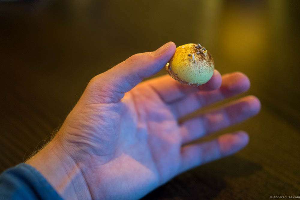 Hertog Jan snack 4: Passionfruit, goose liver, and Coca-Cola. Another weird, but yummy bite!