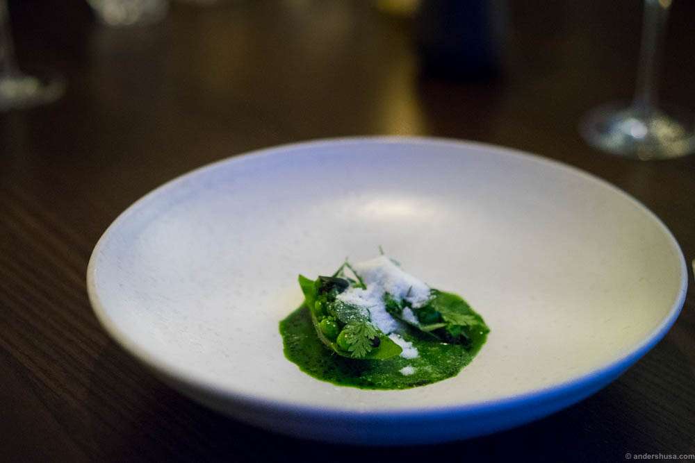 Studio dish 1: Scallop and grilled peas