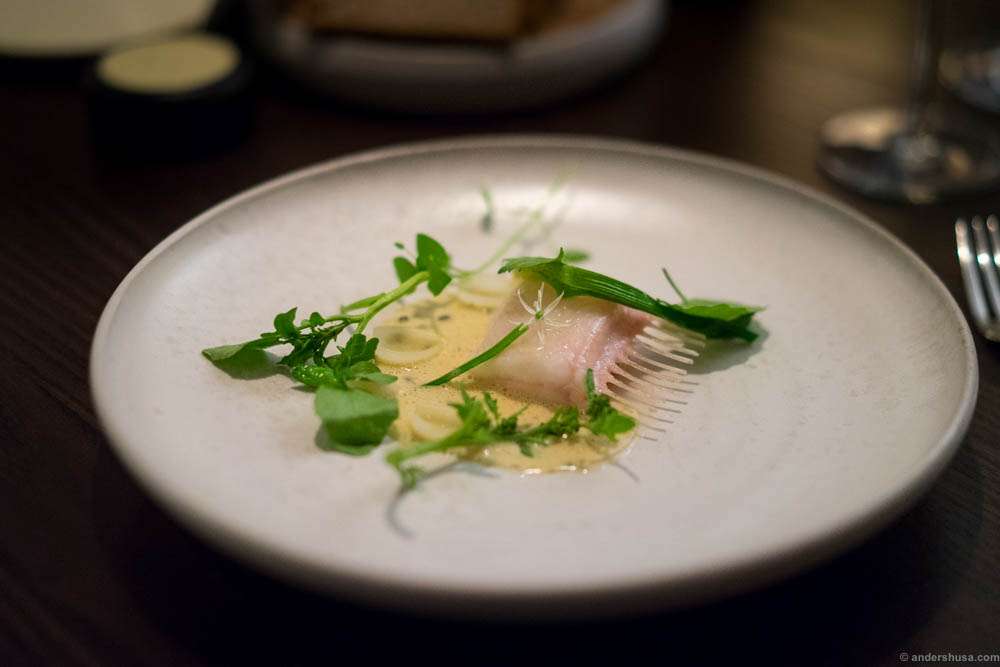 Studio dish 2: Witch "carre" and baby garlic
