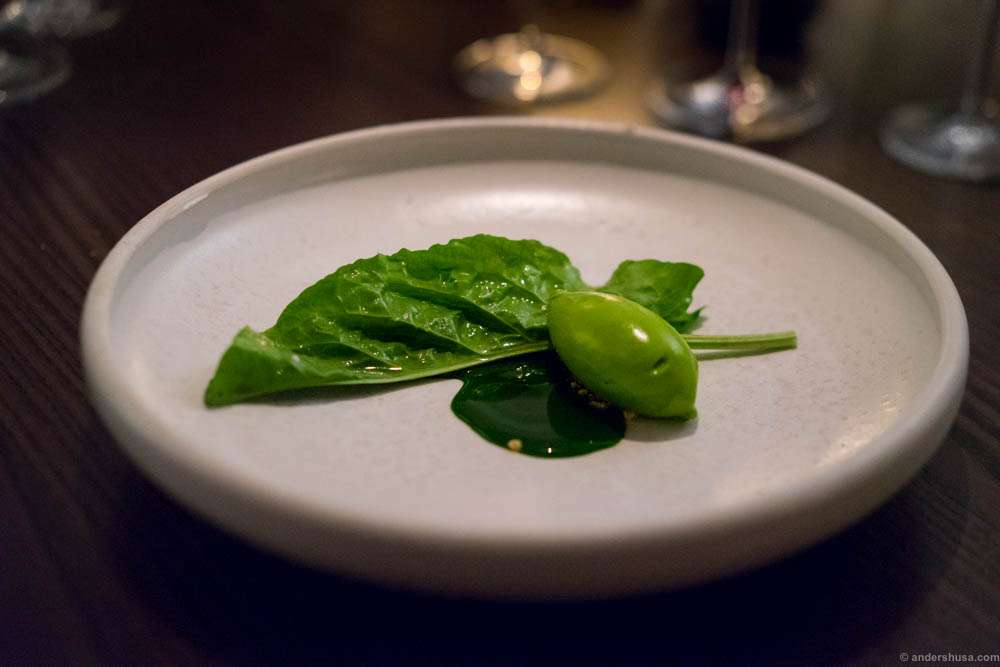 Studio dish 4: Sorrel and pine
