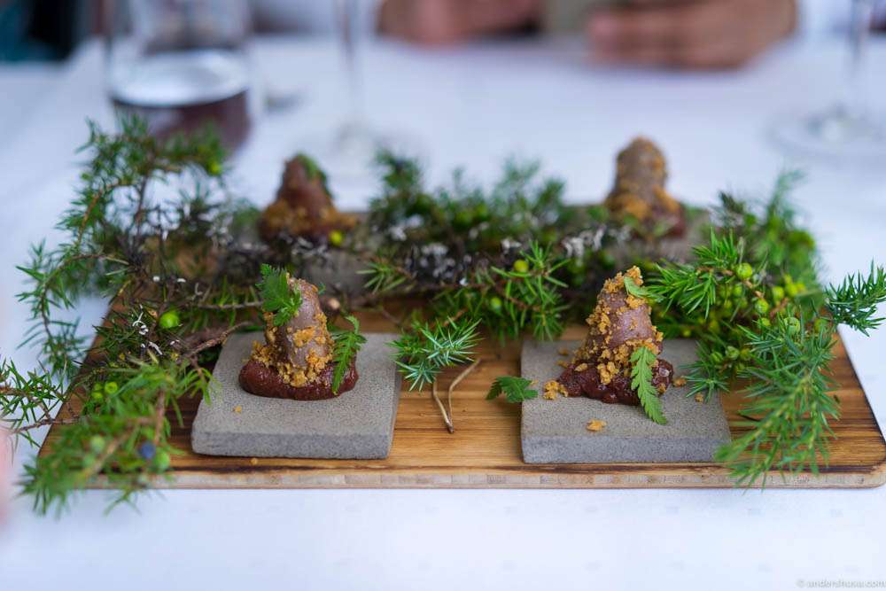 Juniper berry smoked duck hearts, rhubarb compote and chicken skin crisp