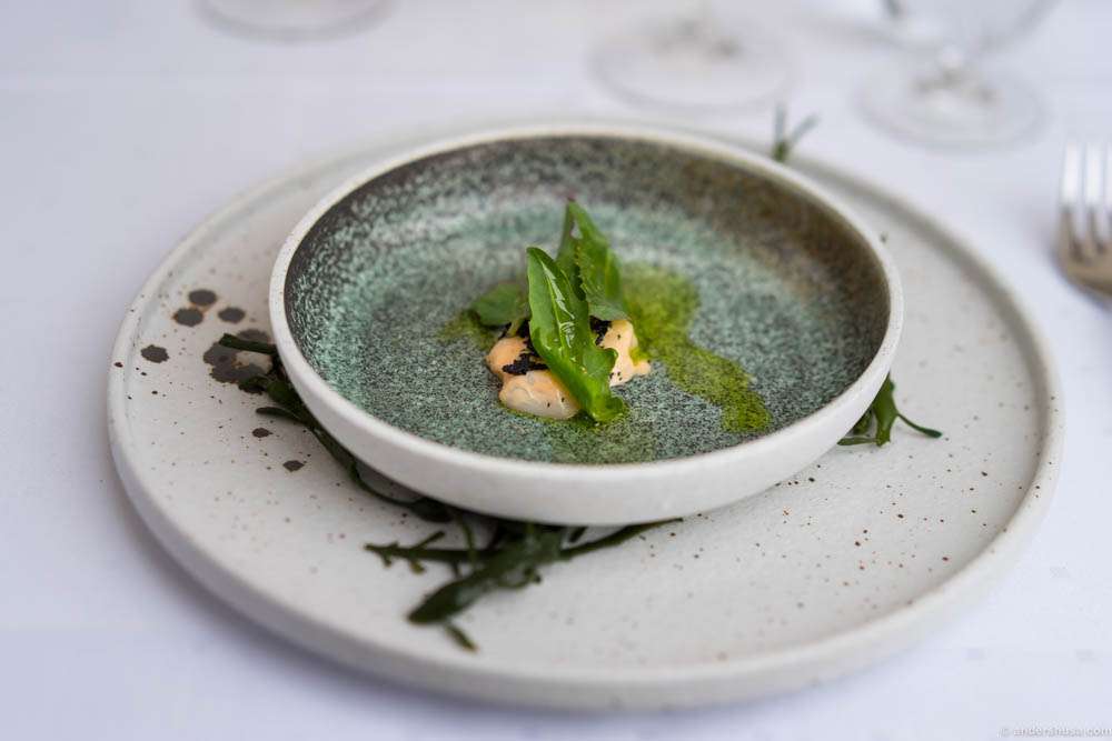 Tartare of scallops from Frøya with searocket, kelp and squid ink toast