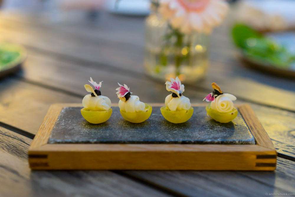 Yellow tomatoes from Brimse with squid and fermented garlic purée