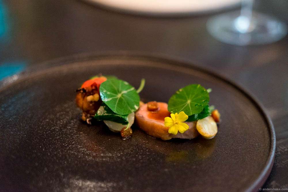 Lamb and lamb sweetbreads, potatoes from Hommersåk, puffed rice & nasturtium