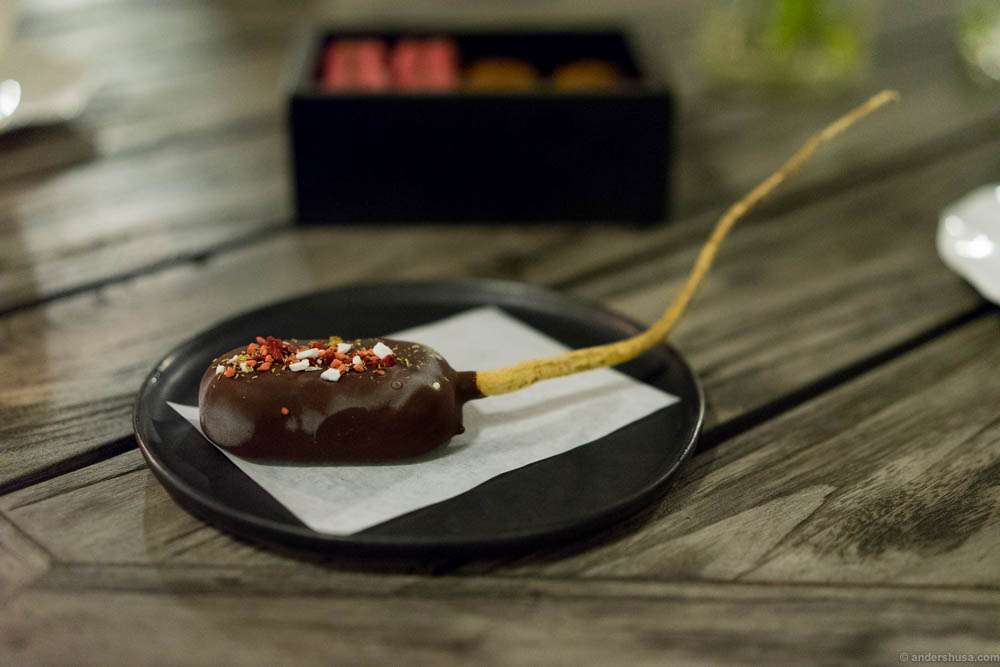 "Pin up" ice cream of chamomile, chocolate coating, freeze-dried raspberry & yogurt