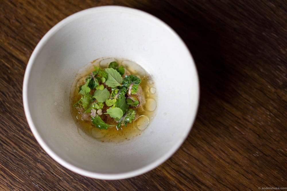 Pollock, burnt birch & black lime.
