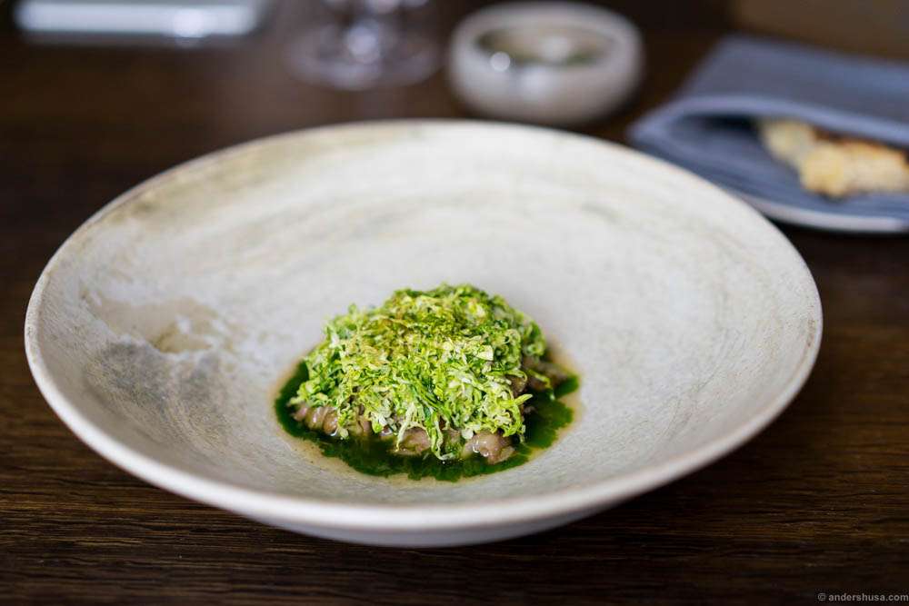Icelandic lamb neck, Savoy cabbage, parsley & smoked mussels