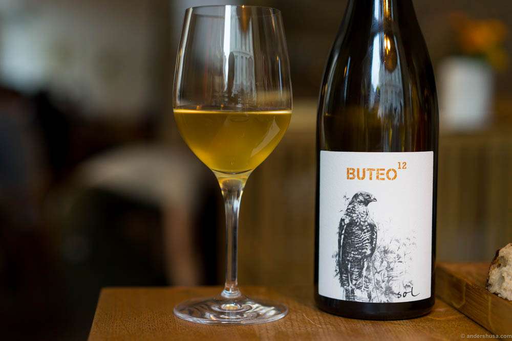 Buteo 12, Grüner Veltliner of the ancient vineyard "Sol" by Michael Gindl