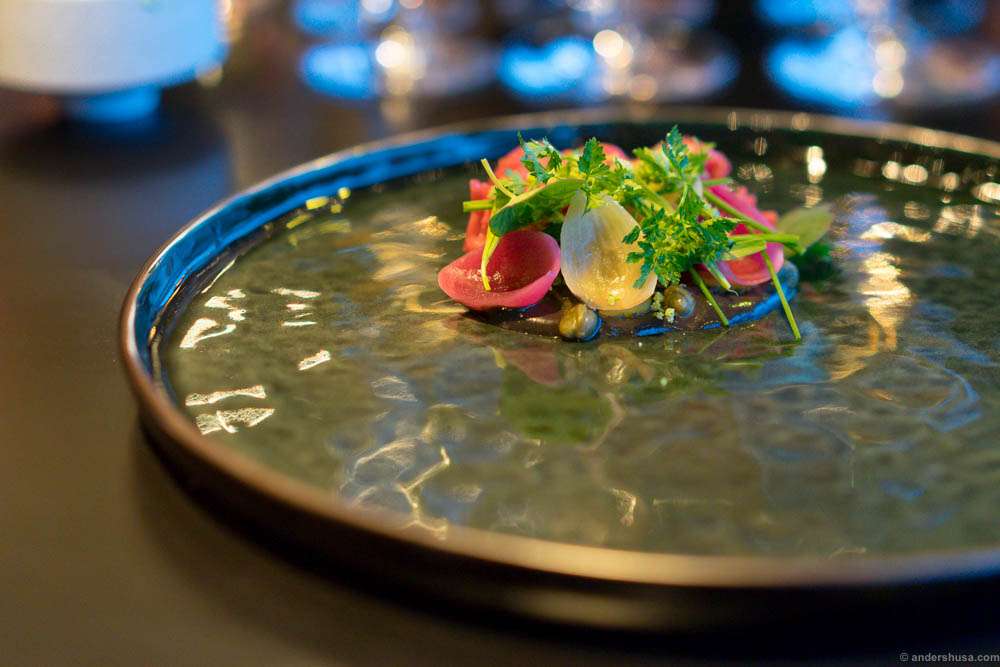 Søren K tartare with herbs and pickled onions