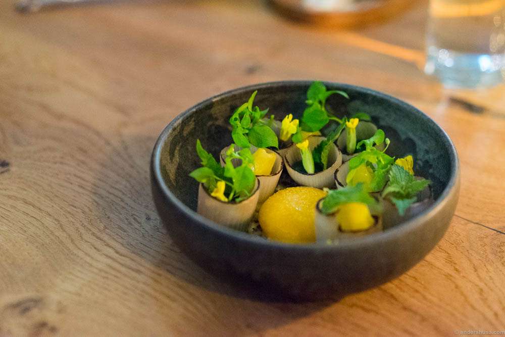 Confit egg yolk, burnt shallots, primula flower and yeast & ramson oil