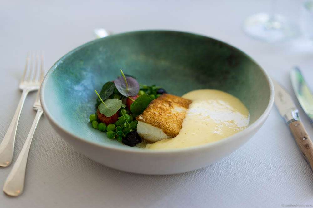 Catch of the day from Storbælt with peas, small tomatoes, hollandaise sauce and herbs from the garden
