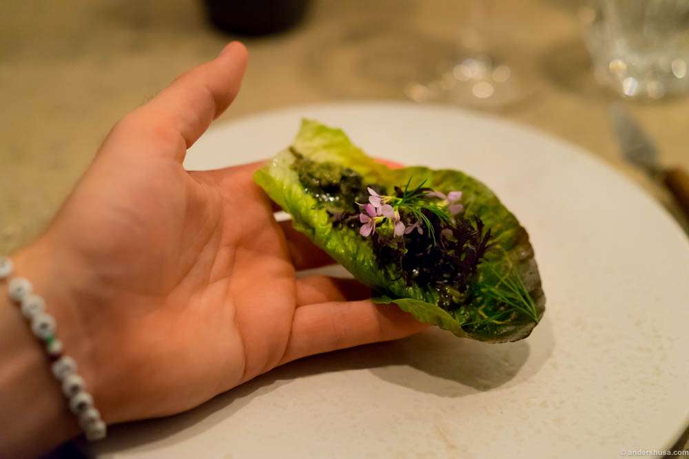 Brain taco