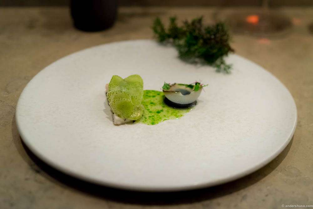 Turbot, grilled onions and green strawberries