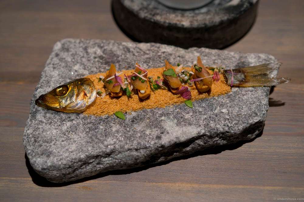Salted herring aged for three years, sour cream and rusk